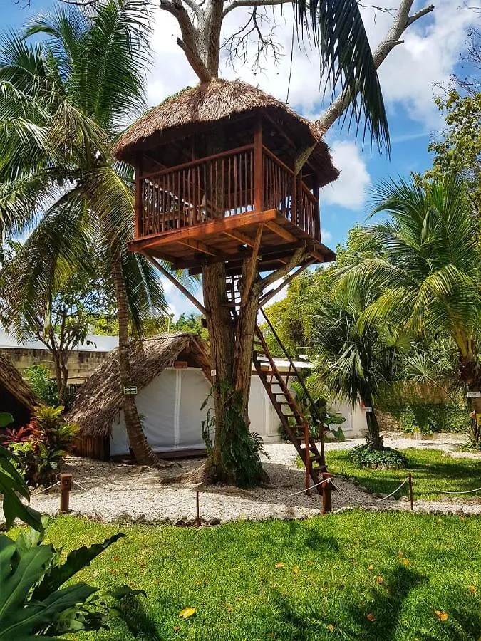El Buho Bacalar Eco-Cabanas Hostal Mexico