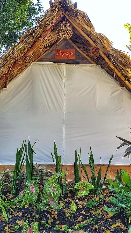 El Buho Bacalar Eco-Cabanas Hostal Mexico